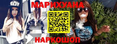 spice Новодвинск