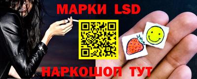 spice Новодвинск